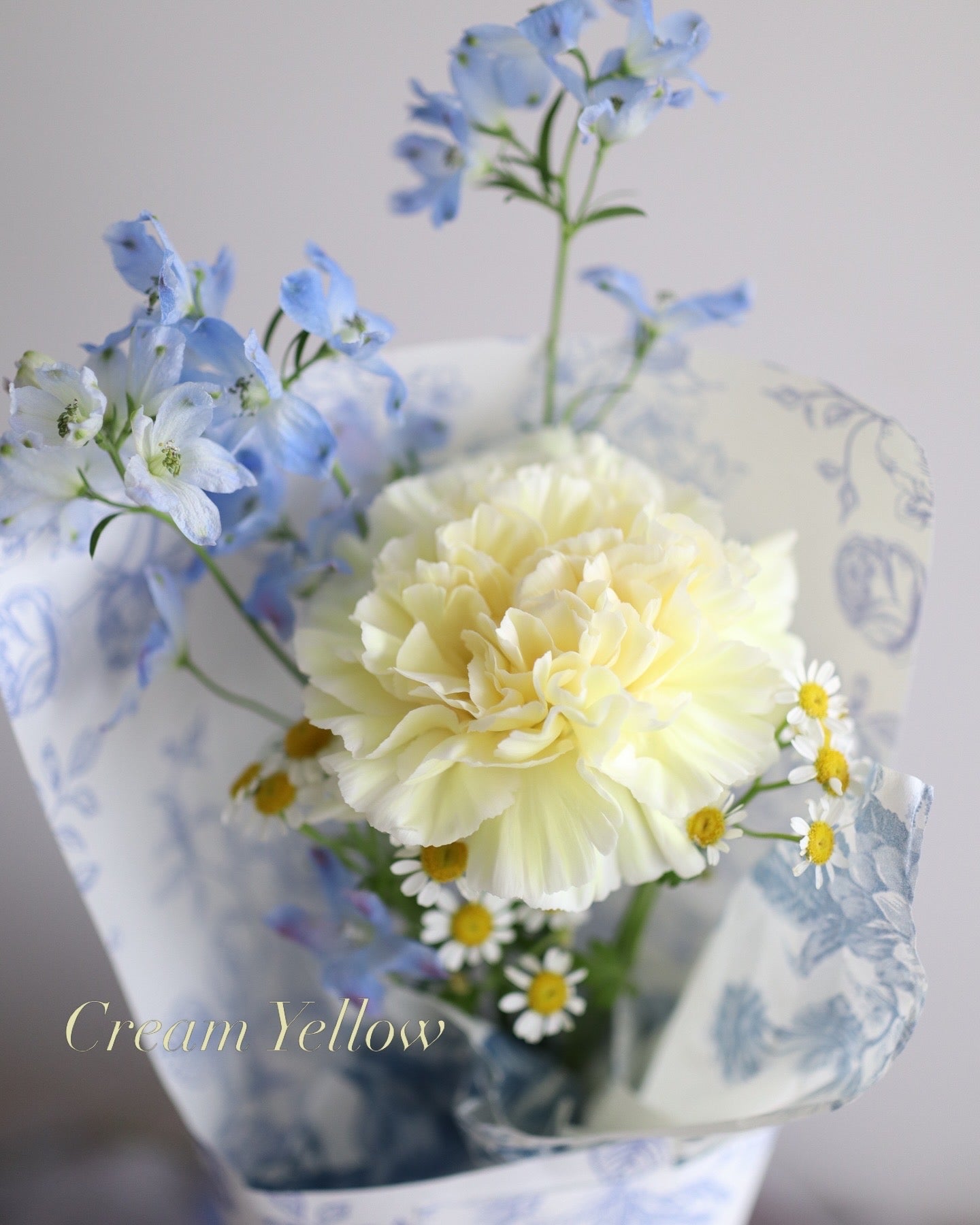 ＜Japanese Carnation Mini Bouquet＞